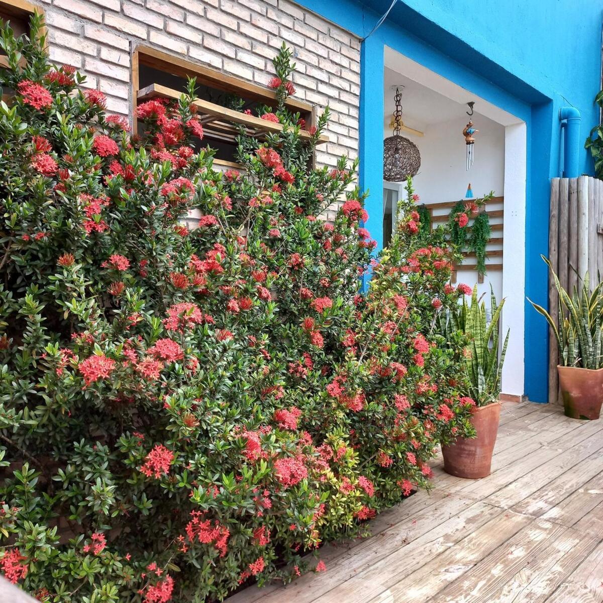 Casa de férias Casa Da Lucia, Trancoso Porto Seguro