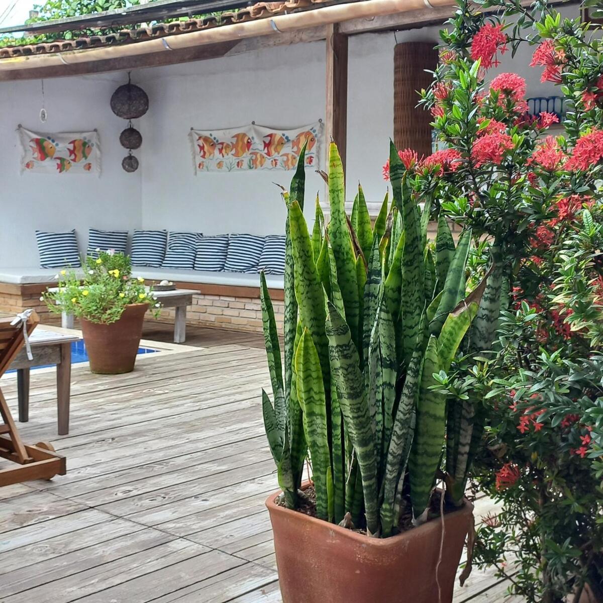 Casa Da Lucia, Trancoso Porto Seguro